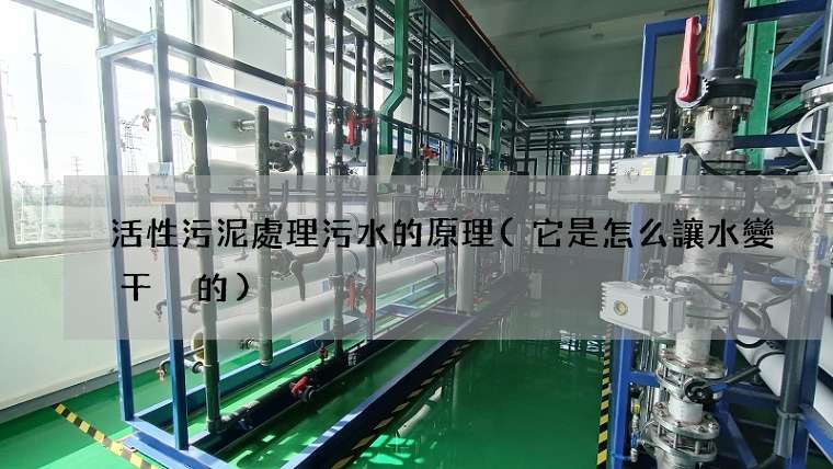 活性污泥處理污水的原理(它是怎么讓水變干凈的)